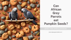 Can African Greys Eat Pumpkin Seeds