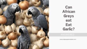 Can African Greys Eat Garlic